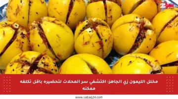 مخلل الليمون زي الجاهز: اكتشفي سر المحلات لتحضيره بأقل تكلفة ممكنة